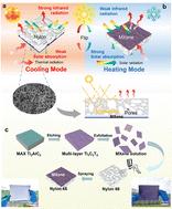 The elegance of simplicity: a cost-effective Janus membrane for all-day radiative thermal management inspired by complementary photothermal design†
