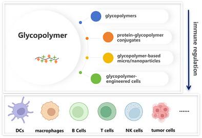 Synthetic Glycopolymers in Tumor Immunotherapy