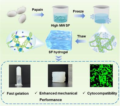 Physically Cross-Linked Silk Fibroin Hydrogel with Rapid Sol–Gel Transition and Enhanced Mechanical Performance