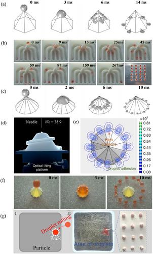 A droplet splitter: Simple, controlled and efficient droplet splitting using superhydrophobic pyramid structures
