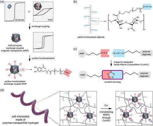 A Covalently Bonded Exchange Coupled Nanomagnet-Based Hydrogel Composite for Microrobotic Applications