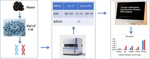 Research on the mechanism of Huaier on psoriasis based on transcriptome sequencing analysis
