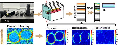 Raman imaging-chemometrics analysis of cell wall biopolymer dynamics in Pseudomonas syringae pv. actinidiae-infeicted kiwifruit stems