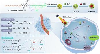 Self-assembling peptide nanomaterials co-engineered with linoleic acid and catechol motifs for synergistic ferroptosis–photothermal therapy–chemotherapy†