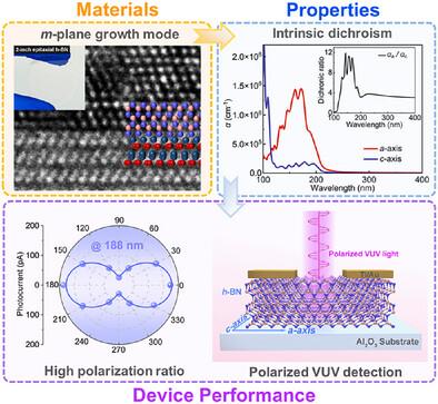 Polarization Sensitive Vacuum-Ultraviolet Photodetectors Based on m-Plane h-BN