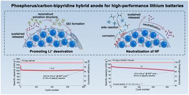 Enhancing stable and high-rate lithium ion storage through multifunctional molecular release in a phosphorus/carbon-bipyridine hybrid anode†