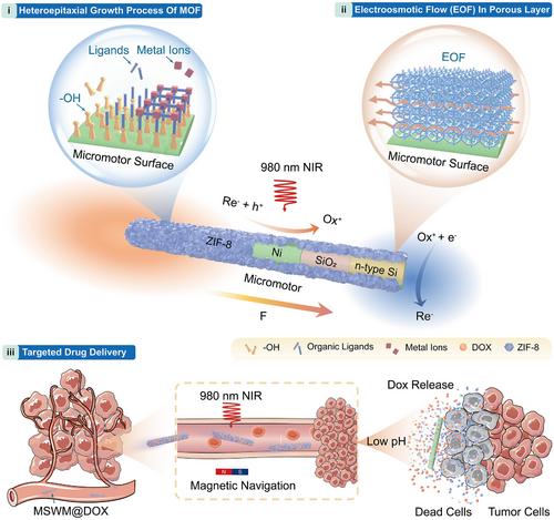 MOF Coating Enhances the Ion Tolerance of Micromotors