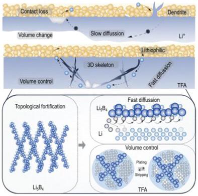 Topology Fortified Anodes Powered High-Energy All-Solid-State Lithium Batteries