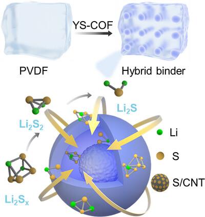 Steering Yolk–Shell Nanostructures of 1D Unit-Based Covalent Organic Frameworks as Binder Modulators