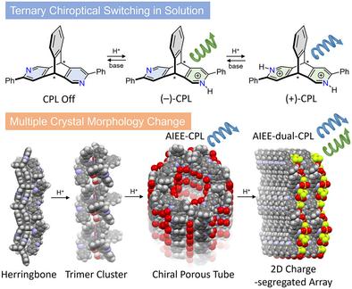 Chiral Diazatriptycene Exhibiting Acid-Induced Ternary Circularly Polarized Luminescence Switching and Crystal Morphology Changes