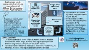 Lesión renal aguda postoperatoria en cirugía mayor abdominal. Utilidad del biomarcador urinario [TIMP-2] × [IGFBP7] (NephroCheck®)