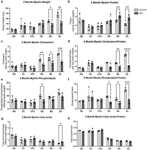 Myelin Lipid Composition in the Central Nervous System Is Regionally Distinct and Requires Mechanistic Target of Rapamycin Signaling