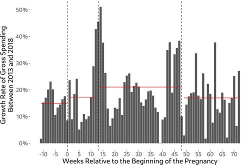 Insurance Expansion During Pregnancy