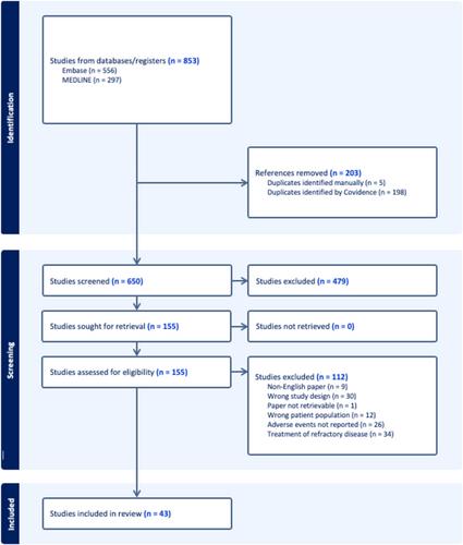 Adverse Effects of Steroid Therapy in Sudden Sensorineural Hearing Loss: A Scoping Review
