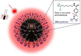 Controlled radical release from iron oxide nanoparticles grafted with thermosensitive alkoxyamine triggered by external stimuli†