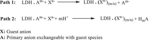 Magnetic Layered Double Hydroxide Nanocomposites: Synthesis, Catalytic Performances, Environmental and Biological Applications