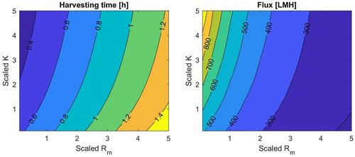 Techno-Economic Analysis of Membrane-Based Purification Platforms for AAV Vector Production