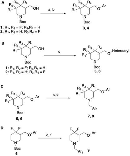 Synthesis and Biological Characterization of 4,4-Difluoro-3-(phenoxymethyl)piperidine Scaffold as Dopamine 4 Receptor (D4R) Antagonist in vitro Tool compounds