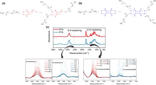 Comparative Study of Photopolymerized Gel Polymer Electrolytes Obtained via Thiol-Ene Click Reaction for Li Metal Batteries