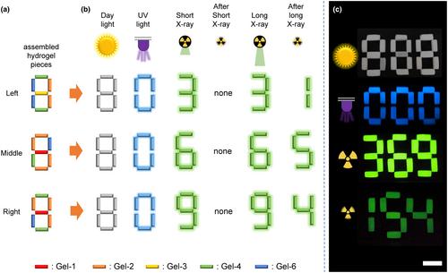 Halloysite-Based X-Ray-Activated Persistent Luminescent Hydrogels Enable Multiple-Level Encryption and Dual-Locked Camouflage