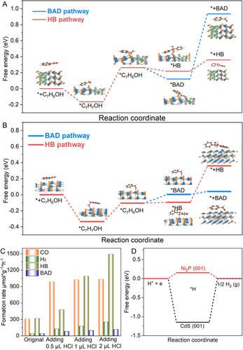 Optimization of Adsorption Sites for Selective Hydrobenzoin and Syngas Production in a Single Photoredox Cycle