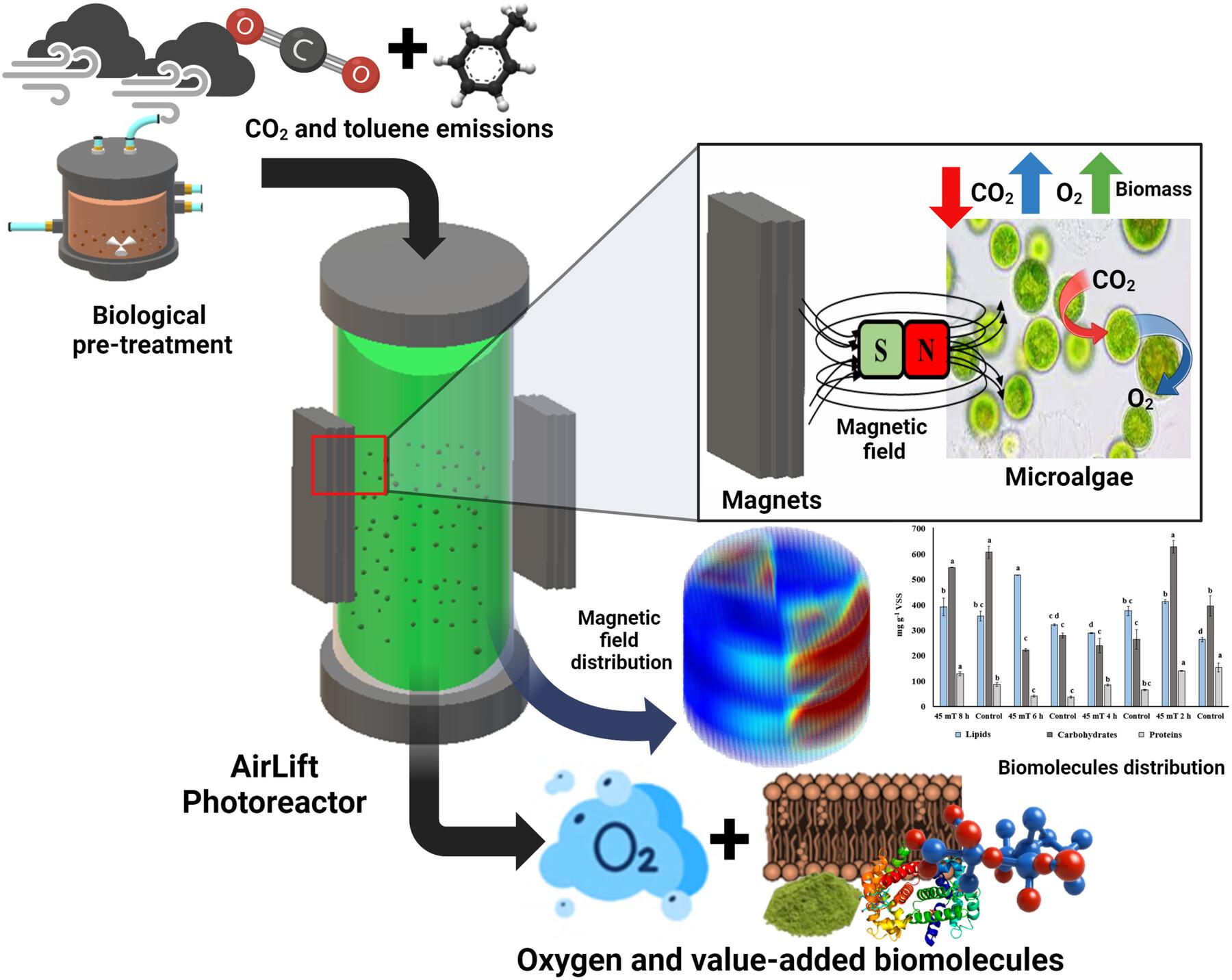 Post-Treatment of CO₂ Emissions With Microalgae: Magnetic Field-Induced Improvements in an AirLift Photoreactor