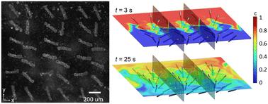 Designing enhanced mixing in stagnant microfluidic environments: an artificial cilia approach†