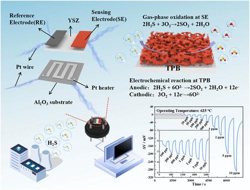 Efficient ppt-Level H2S Gas Sensor Based on YSZ and α-Fe2O3 Nanofoam Sensing Electrode