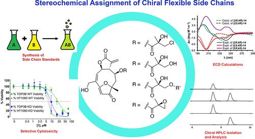 Furanoheliangolides from Centratherum punctatum and a General Approach for Stereochemical Assignment of Flexible Chiral Side Chains