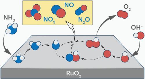 Selective Ammonia Electrooxidation on RuO2: Competitive and Synergistic Interplay between Ammonia and Hydroxide