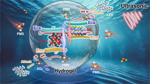 Enhanced and Synergistic Peroxymonosulfate Activation by Piezoelectric-Driven Hydrogel-Encapsulated Z-Scheme Heterojunction for Levofloxacin Degradation