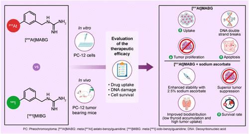 Comprehensive Head-to-Head Study between Meta-[211At]astato-benzylguanidine and with Meta-[131I]iodo-benzylguanidine in Pheochromocytoma