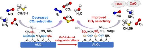 Synergistic Catalytic Elimination of NOx and CH3SH in CaO-Containing Flue Gases