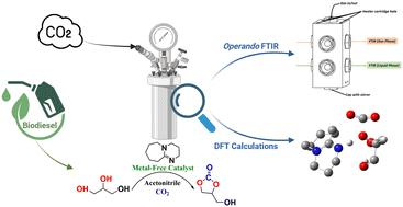 Unveiling the organocatalytic pathway to glycerol carbonate from glycerol and CO2: a comprehensive study using phase behavior, operando high-pressure FTIR, and DFT insights†