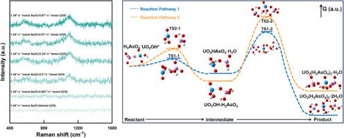 Unveiling the interaction of uranyl and arsenate: Insights into the formation mechanisms of uranyl arsenate minerals