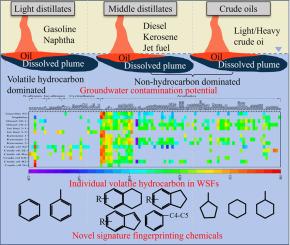 Molecular composition of water soluble fraction of petroleum products and crude oils: Insights into groundwater contamination potential and environmental forensics