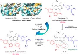 Design, synthesis, and biological evaluation of substituted oxopyridine derivatives as selective FXIa inhibitors†