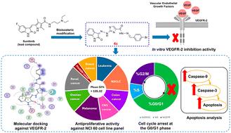 Design, synthesis, molecular modeling, and antiproliferative evaluation of new 2-oxoindolin-3-ylidene thiazole derivatives†
