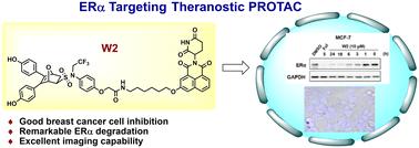 Discovery of ERα-targeting PROTACs with intrinsic fluorescence for precision theranostics of breast cancer†