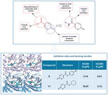 Design, synthesis, molecular modelling investigation and biological studies of novel human carbonic anhydrase inhibitors based on coumalic acid†