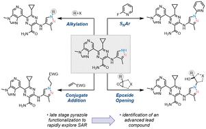 Synthetic chemistry enabling the discovery and development of a series of pyrazoles as HPK1 inhibitors†