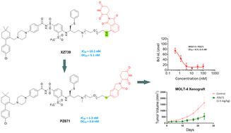 Discovery of PZ671, a highly potent and in vivo active CRBN-recruiting Bcl-xL degrader†