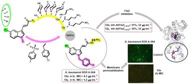 Rational design of indolyl acrylamides as antibacterial agents targeting multidrug-resistant Acinetobacter baumannii strains†