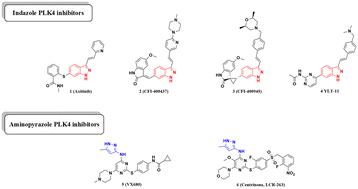 Design, synthesis, and biological evaluation of novel N-(1H-indazol-6-yl)benzenesulfonamide derivatives as potent PLK4 inhibitors†