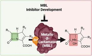 Navigating the complexities of drug development for metallo-β-lactamase inhibitors