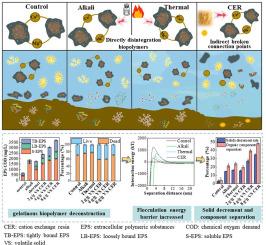 Comprehensive insights into the organic/inorganic composition separation of sewer sediment by various driving forces: Separation pathway and thermodynamic evolution