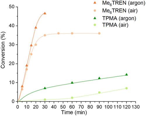Mechanistic and Physicochemical Insights into the Photoactivation Pathways of a Charge Transfer ATRP Photoinitiator