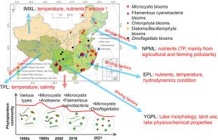 Succession of algae population and blooms with their driving factors in China’s lakes