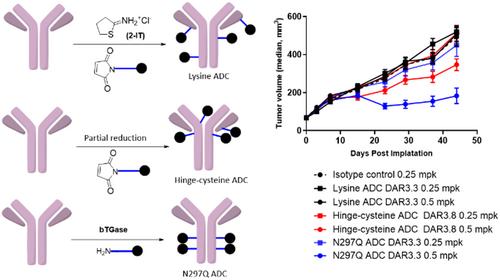 The Impact of Conjugation Mode and Site on Tubulysin Antibody-Drug-Conjugate Efficacy and Stability