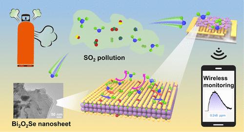 Detection of ppb-Level SO2 at Room Temperature Based on Bi2O2Se Nanosheets